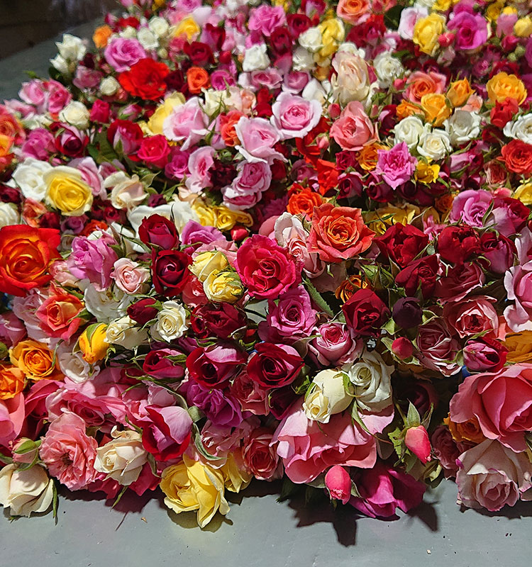 花工房あや