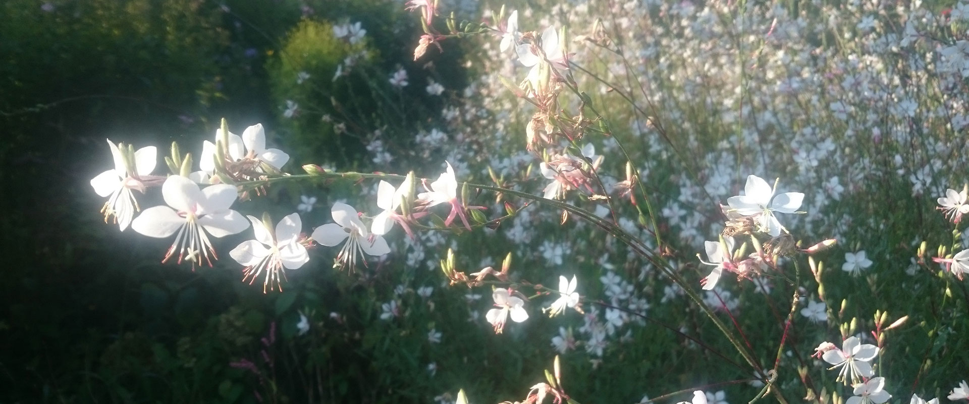 花工房あや