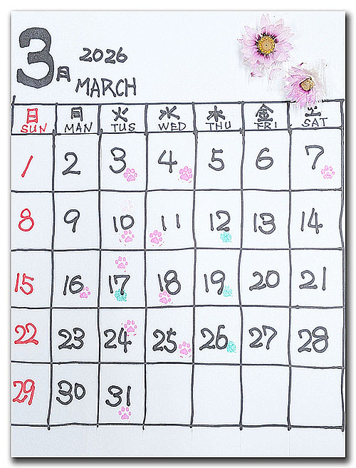 3月外仕事が始まりショップお休みが多くなります