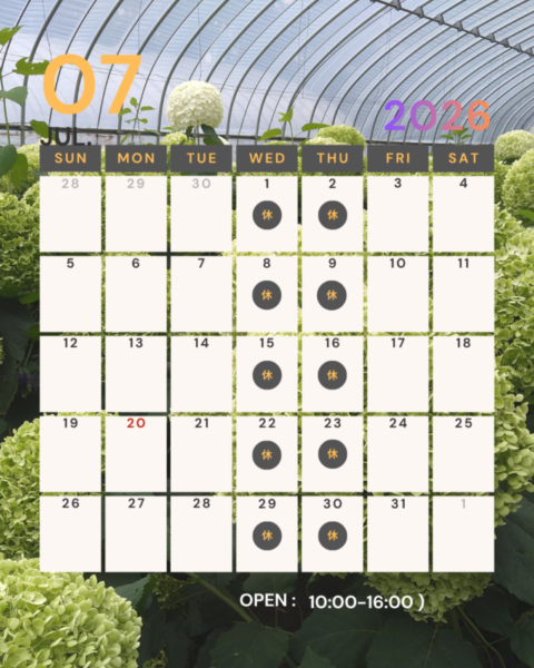 ７月ショップ定休日予定です。　ただしお電話を頂けたら対応できます